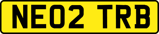 NE02TRB
