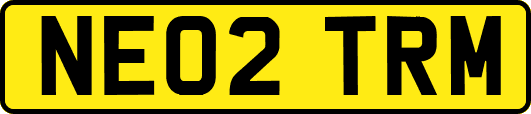NE02TRM