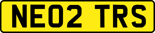 NE02TRS