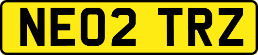 NE02TRZ