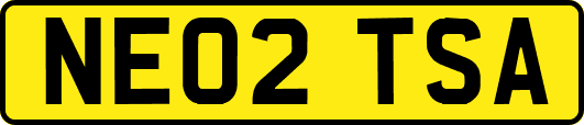 NE02TSA