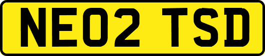 NE02TSD