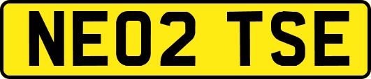 NE02TSE