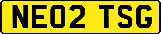 NE02TSG