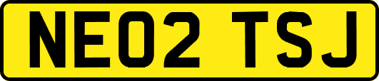 NE02TSJ
