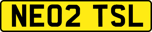 NE02TSL