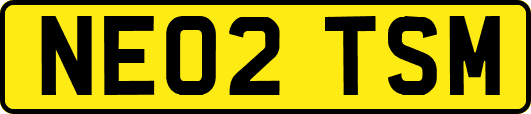 NE02TSM