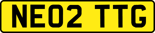 NE02TTG