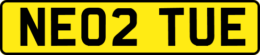 NE02TUE