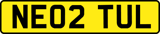 NE02TUL