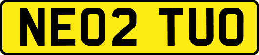 NE02TUO