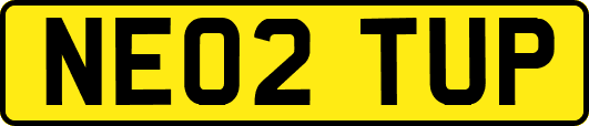 NE02TUP