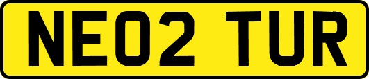 NE02TUR