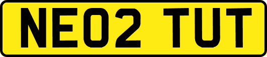 NE02TUT