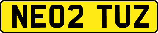 NE02TUZ