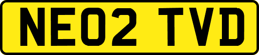 NE02TVD