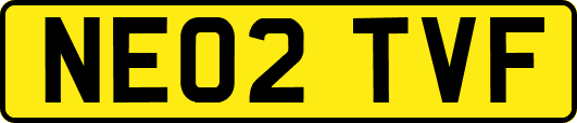 NE02TVF