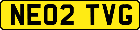 NE02TVG