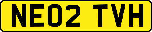 NE02TVH