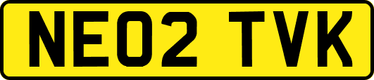 NE02TVK
