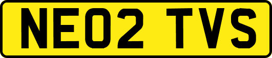NE02TVS