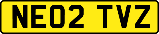 NE02TVZ
