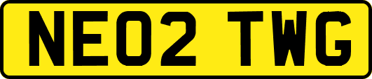 NE02TWG