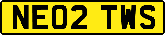 NE02TWS