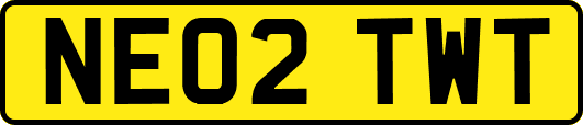 NE02TWT