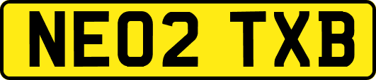 NE02TXB