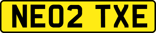 NE02TXE