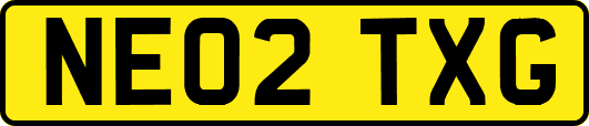 NE02TXG