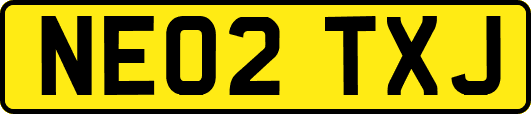 NE02TXJ