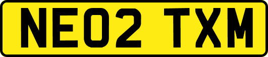 NE02TXM