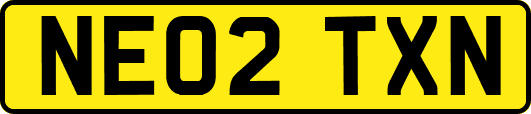 NE02TXN