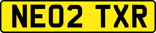 NE02TXR