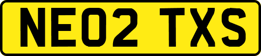 NE02TXS