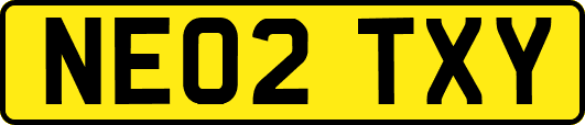 NE02TXY