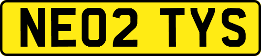 NE02TYS
