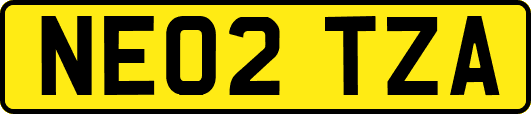 NE02TZA