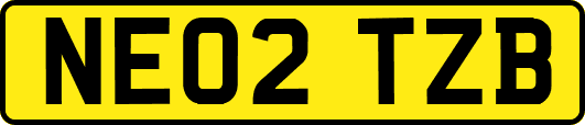 NE02TZB