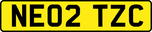 NE02TZC