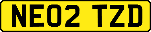 NE02TZD