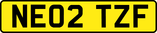 NE02TZF