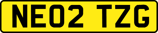 NE02TZG