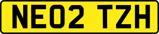 NE02TZH