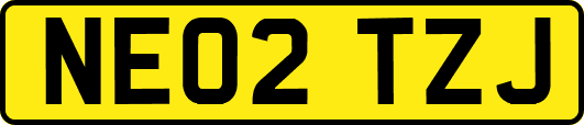 NE02TZJ