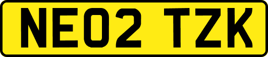 NE02TZK