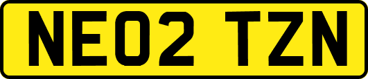 NE02TZN
