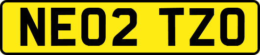 NE02TZO